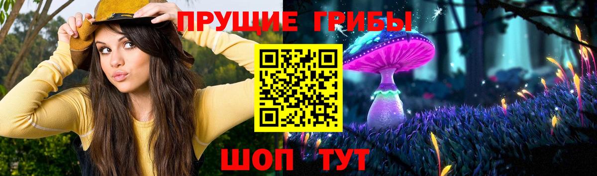 Галлюциногенные грибы Magic Shrooms  Вход с VPN  что такое   Кизилюрт 